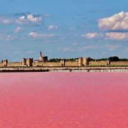 Medieval City By A Pink Lake In Aigues-Mortes, Camargues, France